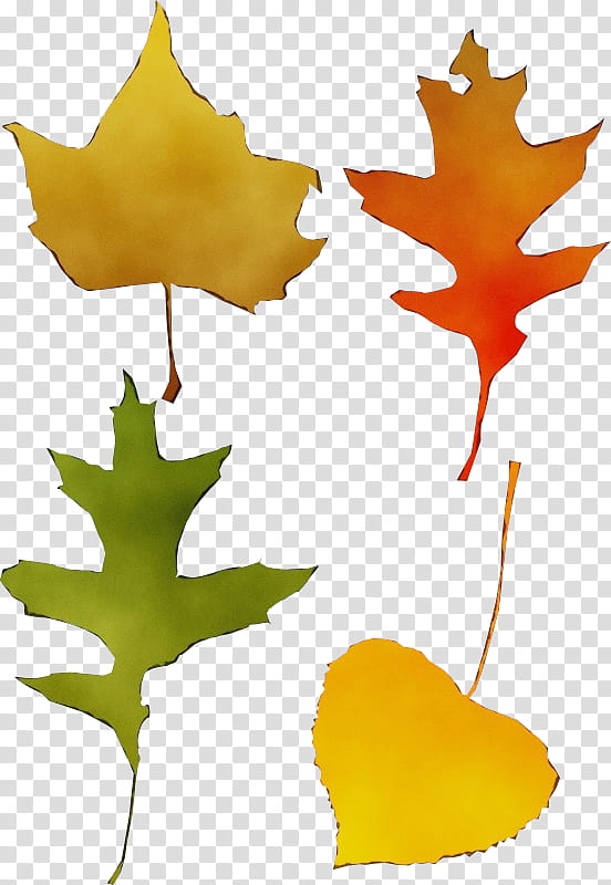 Red Maple Tree, Watercolor, Paint, Wet Ink, Leaf, Japanese Maple, Autumn Leaf Color, Maple Leaf transparent background PNG clipart