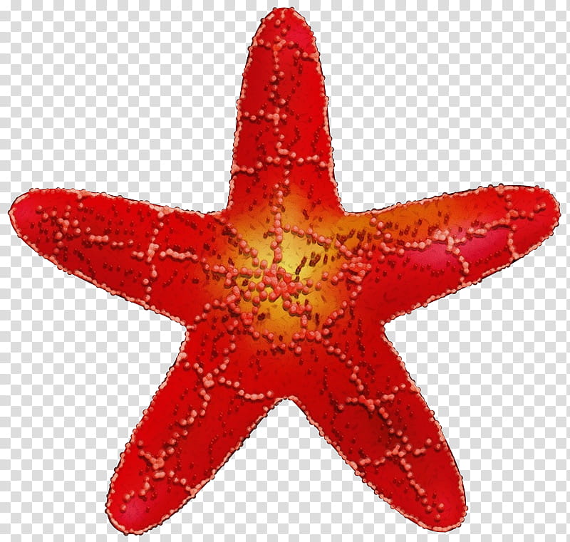 starfish red marine invertebrates star, Watercolor, Paint, Wet Ink transparent background PNG clipart