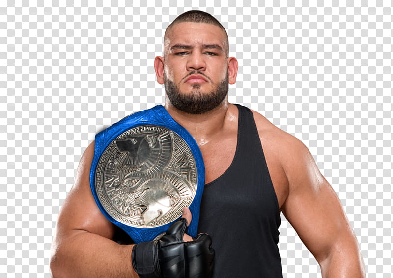 Rezar SmackDown TTC Render transparent background PNG clipart