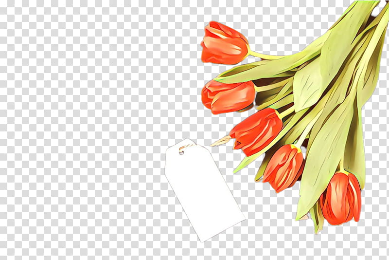 peperoncini plant tabasco pepper malagueta pepper tulip, Chili Pepper, Flower, Food, Vegetable transparent background PNG clipart