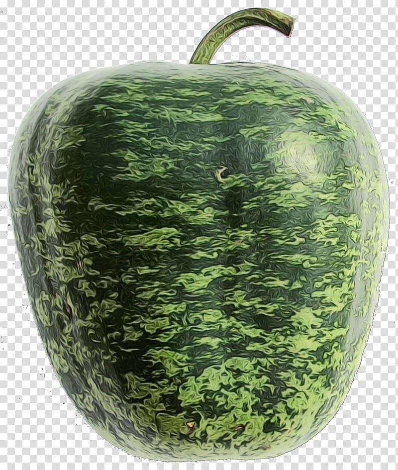 Watermelon, Wax Gourd, Cucumis, Winter Squash, Cucurbits, Cucurbita Maxima, Vegetable, Plant transparent background PNG clipart