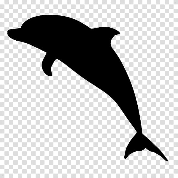 Dolphin, Aesthetics, Sticker, Oceanic Dolphin, Bottlenose Dolphin, Cetacea, Fin, Wholphin transparent background PNG clipart