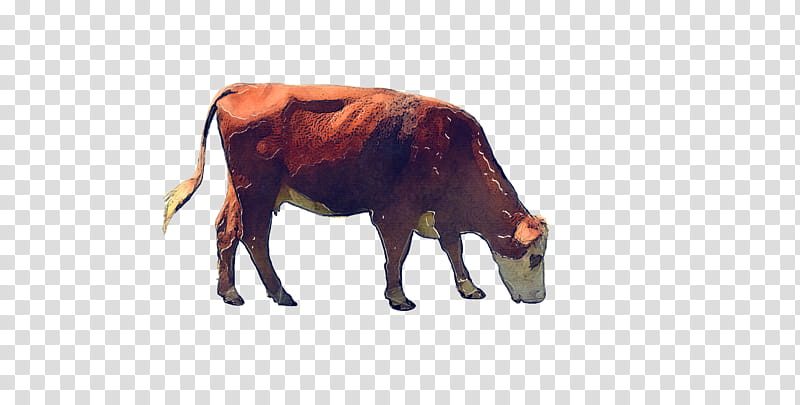 animal figure bovine bull live bison, Live, Horn, Terrestrial Animal, Working Animal, Figurine, Shetland Pony transparent background PNG clipart