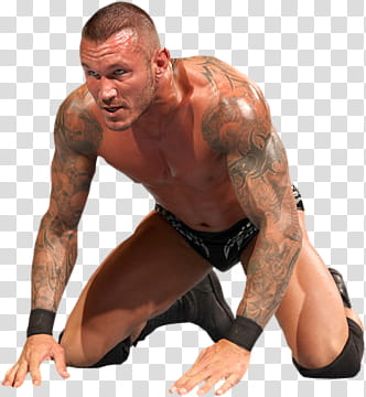 Randy Orton transparent background PNG clipart