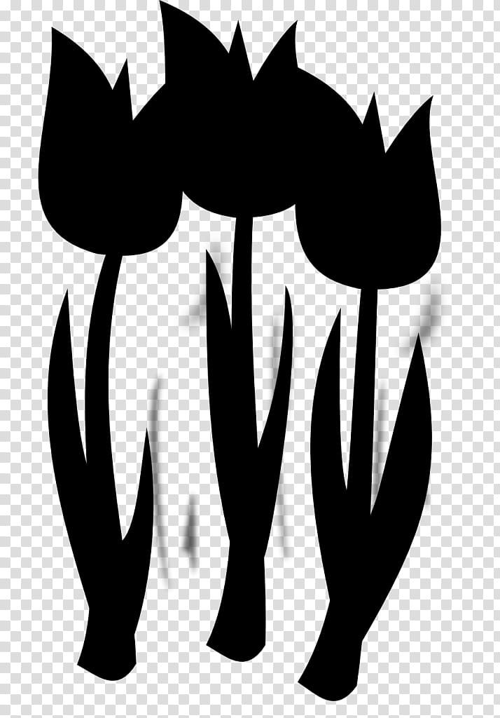 Wedding Floral, Florist, Black And White
, Floristry, grapher, Greenfield, Indiana, Blackandwhite transparent background PNG clipart
