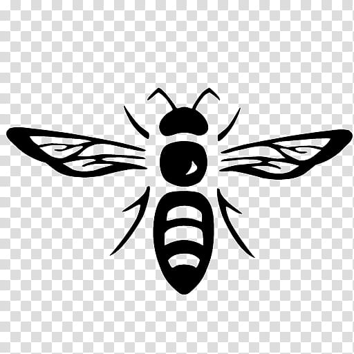 Honey Bee Black Vector Icon Stock Illustration - Download Image Now -  Beekeeper, Studio Shot, Bee - iStock