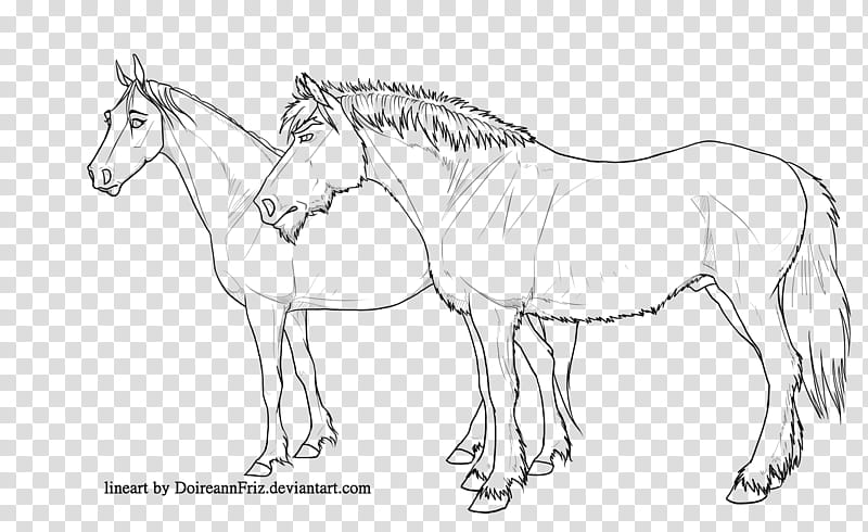 Two horses lineart transparent background PNG clipart