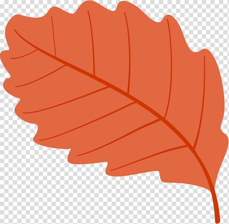 autumn leaf fallen leaf dead leaf, Orange, Plant, Line, Tree transparent background PNG clipart