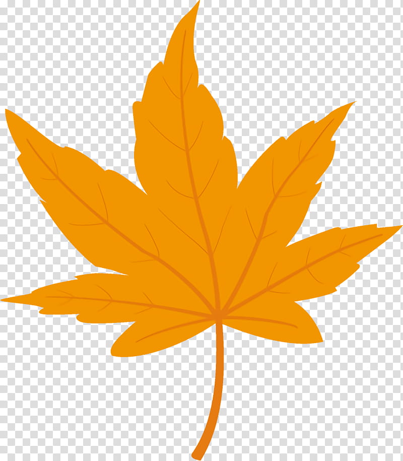 maple leaf autumn leaf yellow leaf, Tree, Orange, Plant, Woody Plant, Black Maple, Plane transparent background PNG clipart