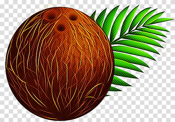 Palm Tree, Fruit, Leaf, Plant, Grass, Easter Egg, Arecales transparent background PNG clipart