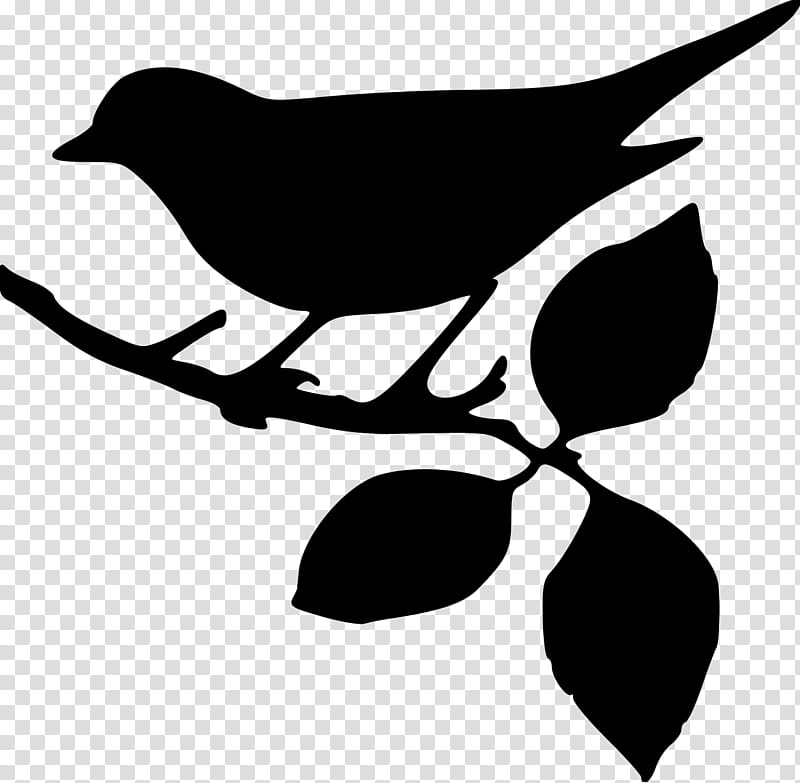 Tree Branch Silhouette, Bird, Mockingbird, Sparrow, Stencil, Alamy, Leaf, Plant transparent background PNG clipart