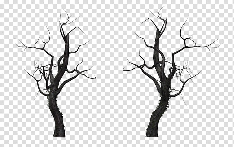 Tree , two black bare trees transparent background PNG clipart