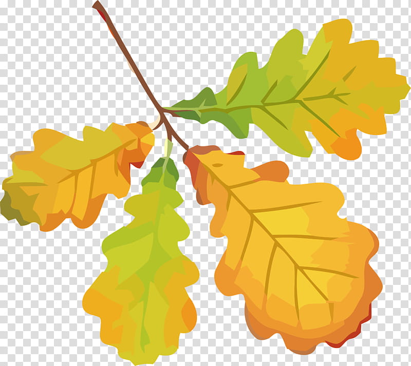 autumn leaf yellow leaf leaf, Grape Leaves, Tree, Plant, Black Maple, Plane, Woody Plant, Twig transparent background PNG clipart