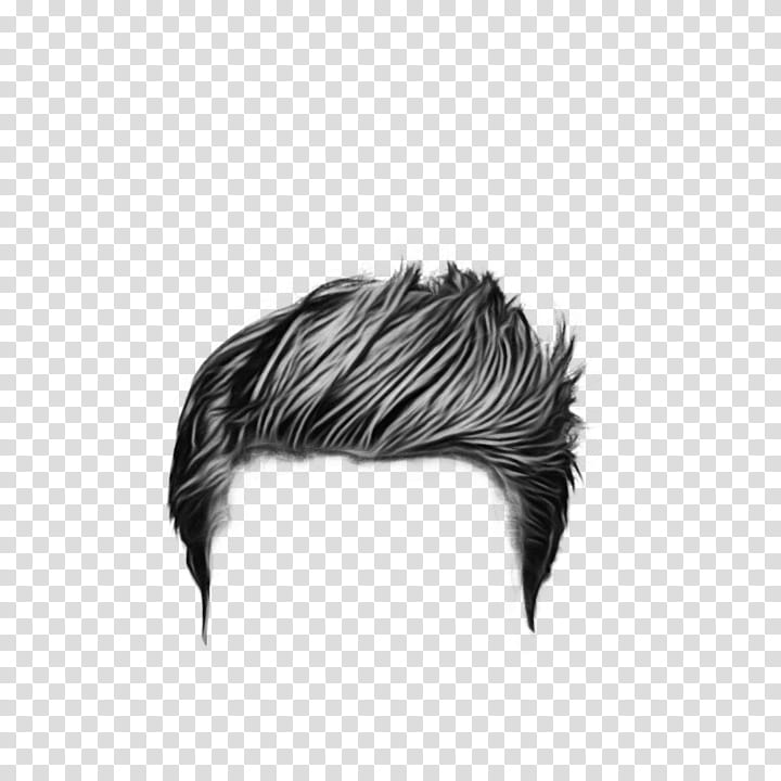 Men Hairstyles PNG Transparent Images Free Download | Vector Files | Pngtree