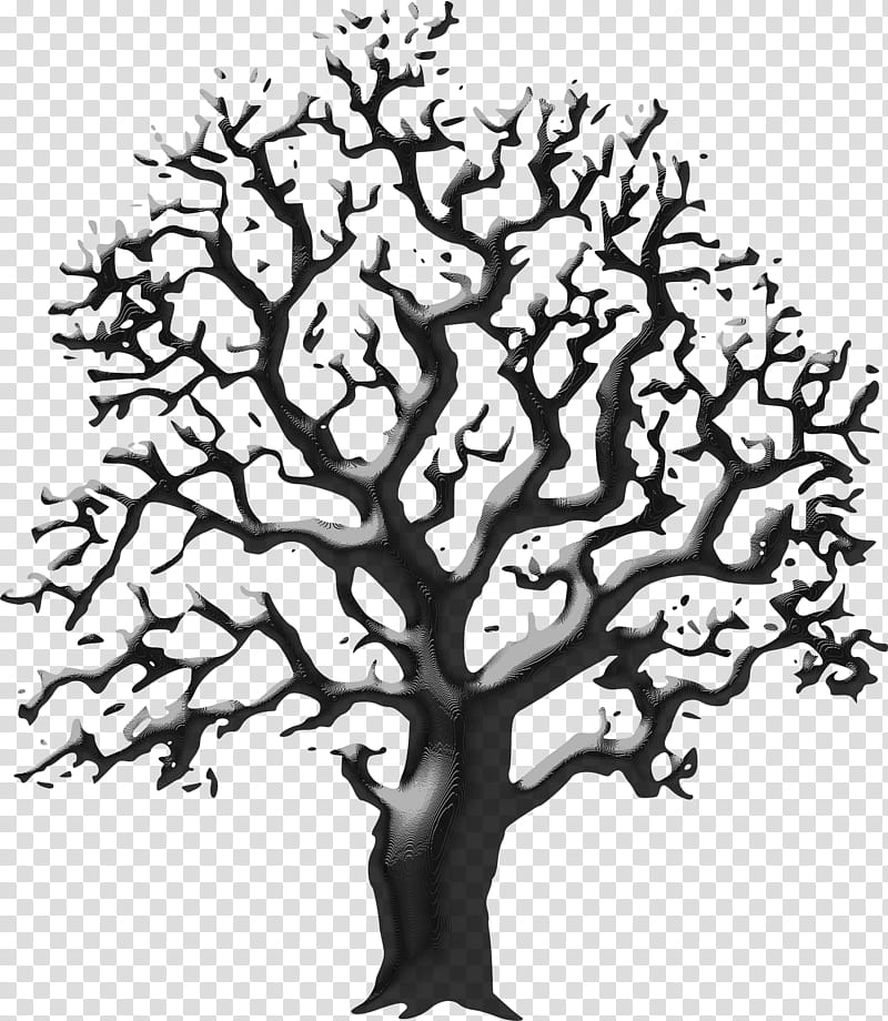 Oak Tree Silhouette, Line Art, Drawing, White Oak Tree, Painting, Branch, Woody Plant, Leaf transparent background PNG clipart
