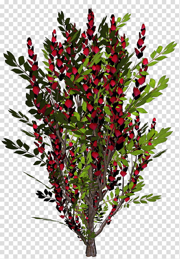 Various Garden Items , red flower transparent background PNG clipart