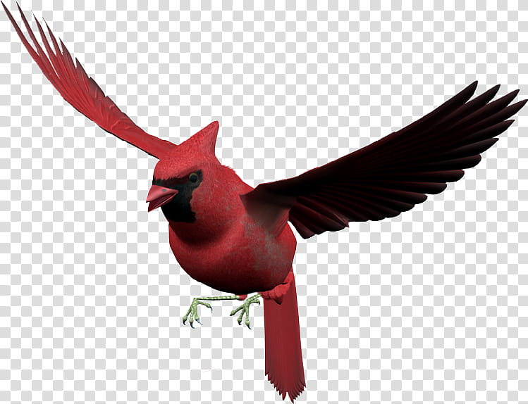 red bird flying clipart