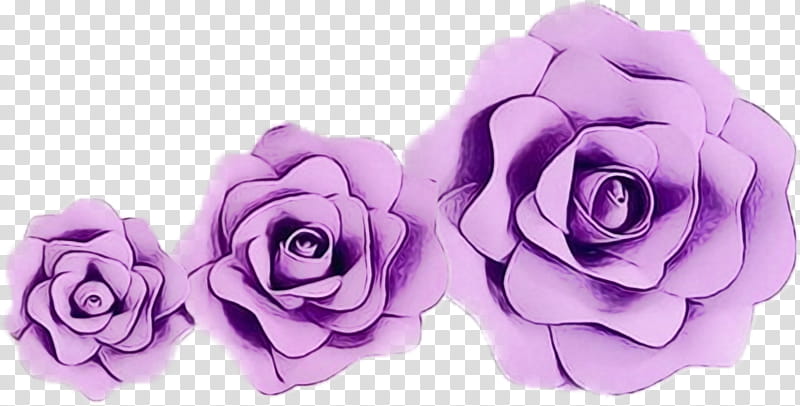 Pink Flower, Garden Roses, Cabbage Rose, Cut Flowers, Petal, Purple, Artificial Flower, Violet transparent background PNG clipart