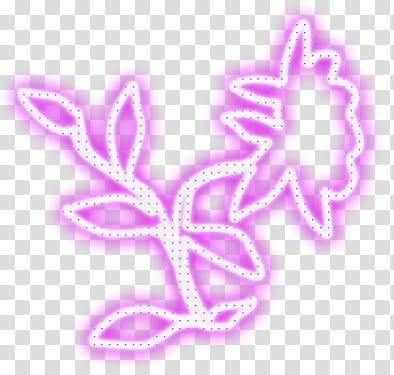 Nature Spring  lights, pink flower illustration transparent background PNG clipart