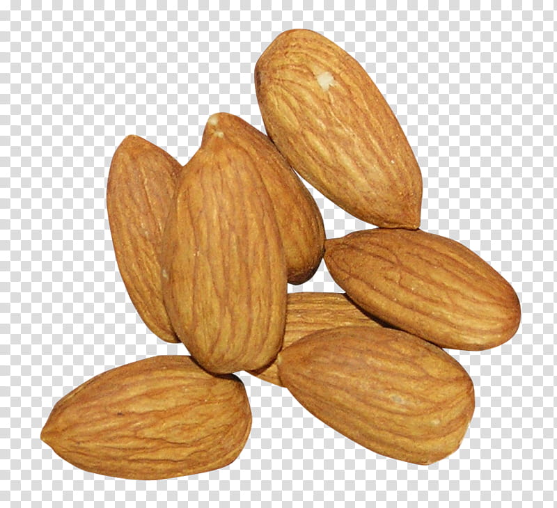 Fruit, Almond, Nut, Dried Fruit, Food, Biscuits, Nuts Seeds, Apricot Kernel transparent background PNG clipart