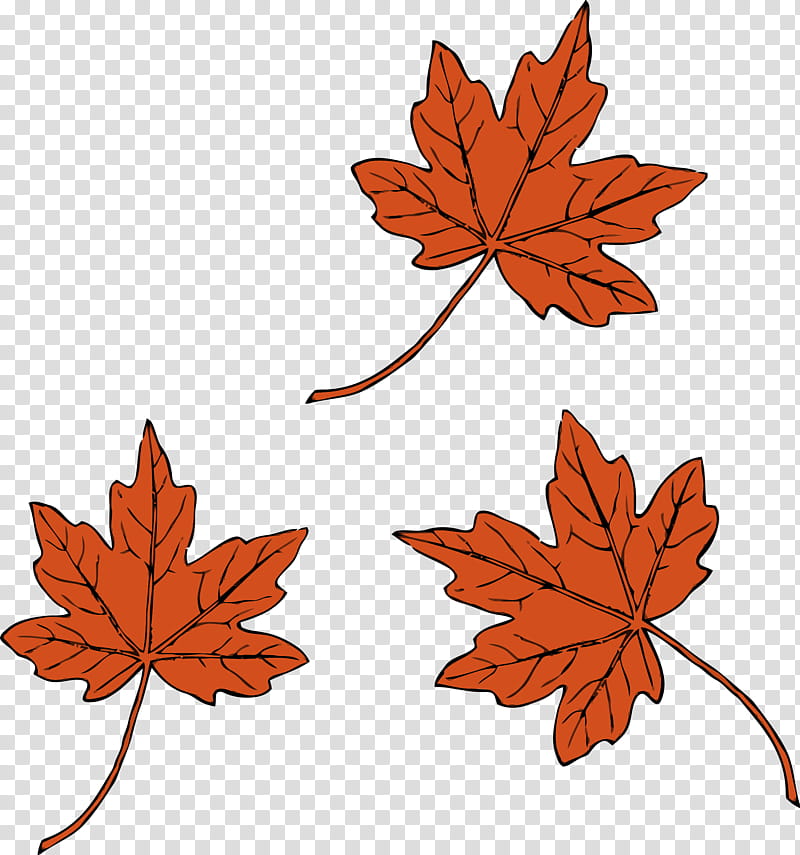 Red Maple Leaf, Drawing, Autumn Leaf Color, Sugar Maple, Line Art, Japanese Maple, Painting, Tree transparent background PNG clipart