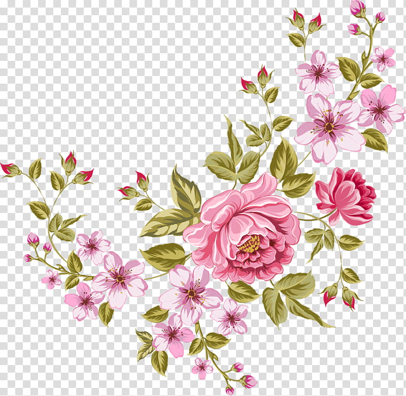 Bouquet Of Flowers Drawing, Floral Design, Rose, Flower Bouquet, Pink Flowers, Peony, Blossom, Plant transparent background PNG clipart