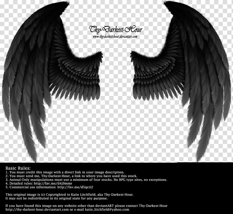 Winged Fantasy Black Gray, Thy Darkest Hour transparent background PNG clipart
