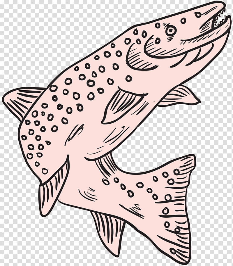 Fish, Drawing, Line Art, Cartoon, Brown Trout, Animal Figure, Coloring Book transparent background PNG clipart