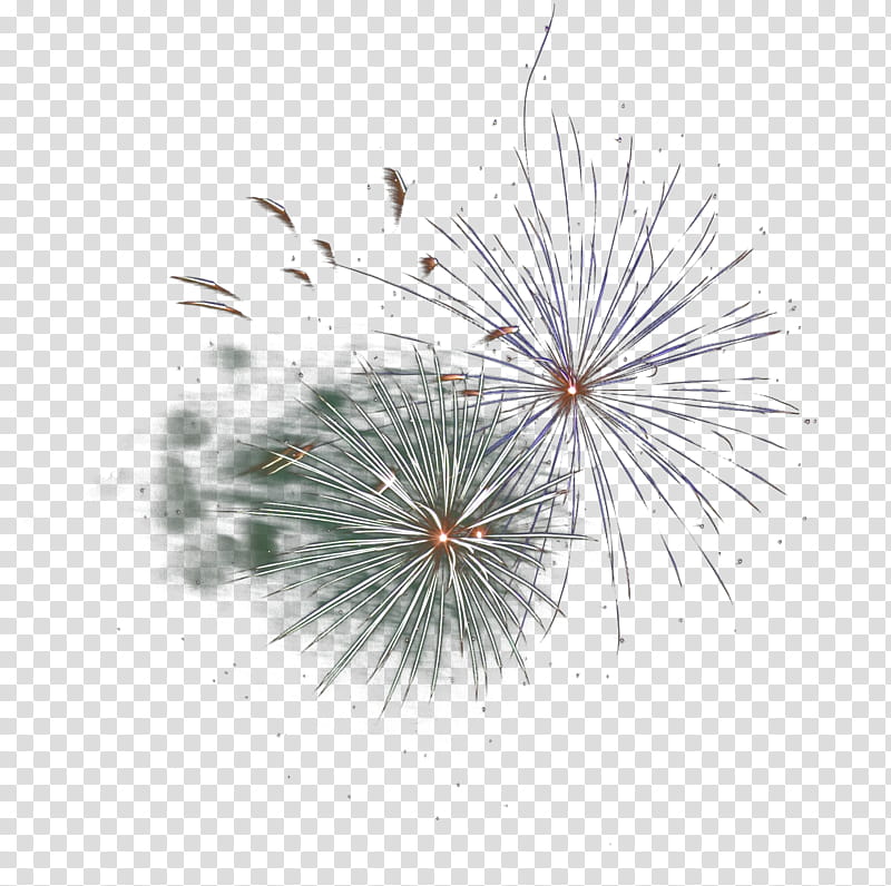 Fireworks Set , black and white fireworks illustration transparent background PNG clipart