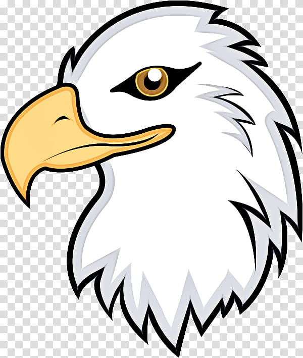 Bird Line Drawing, Bald Eagle, Whitetailed Eagle, Line Art, Beak, Bird Of Prey, Head, Accipitridae transparent background PNG clipart