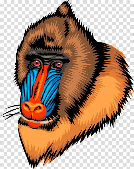 Monkey, Ape, Mandrill, Baboons, Gorilla, Old World Monkeys, Simian, Wildlife transparent background PNG clipart