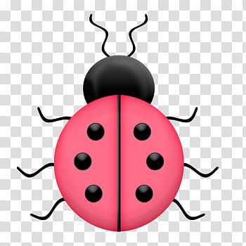 Download Ladybug HQ PNG Image