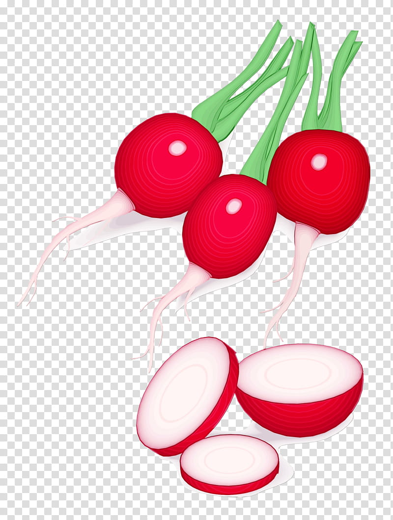 Watercolor Plant, Paint, Wet Ink, Radish, Vegetable, Food, Salad, Carrot transparent background PNG clipart