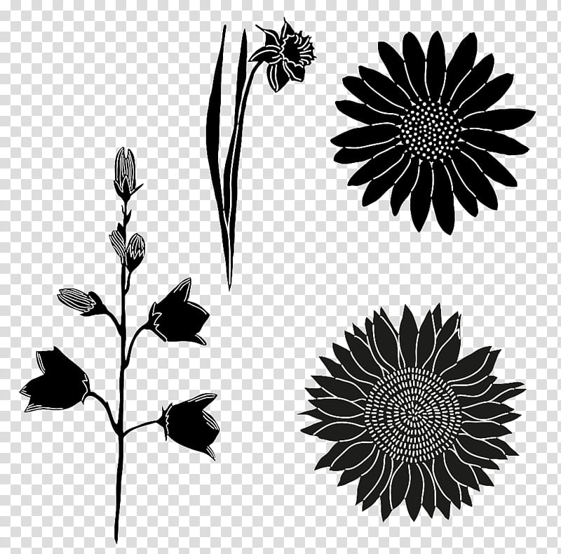 Flower Design, Glogster, Blackandwhite, Plant, Leaf, Dandelion, Wildflower, Daisy Family transparent background PNG clipart