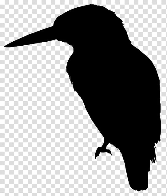 Bird Silhouette, Common Kingfisher, River Kingfishers, Video, Laughing Kookaburra, Coraciiformes, Crow, Beak transparent background PNG clipart