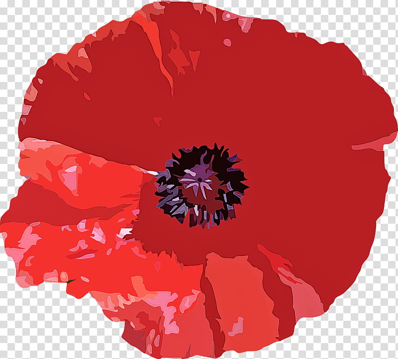 red oriental poppy flower plant poppy, Poppy Family, Petal, Coquelicot, Corn Poppy transparent background PNG clipart