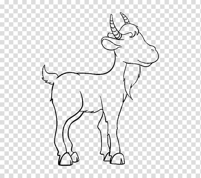 Drawing Of Family, Goat, Reindeer, Antelope, Elk, Cattle, Caprinae, Antler transparent background PNG clipart