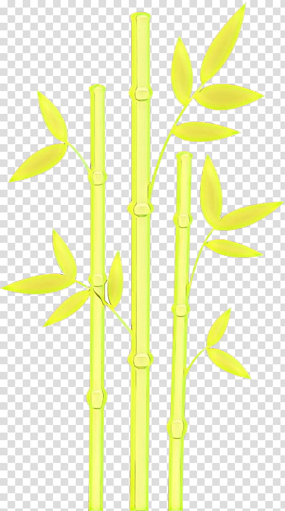 Bamboo Leaf, Cartoon, Bambusoideae, Line, Meter, Plant Stem, Yellow, Grass Family transparent background PNG clipart