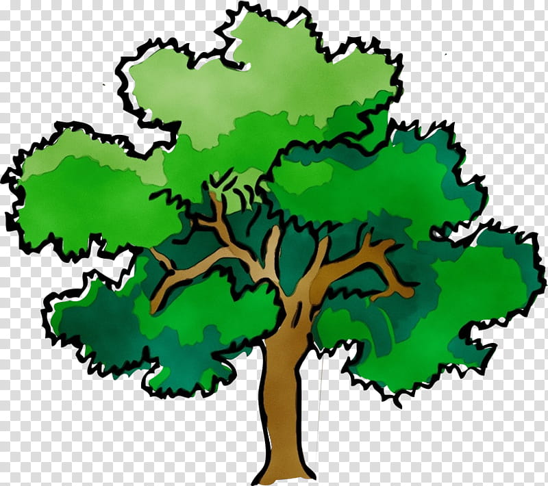 Oak Tree Leaf, Watercolor, Paint, Wet Ink, Narra, Pterocarpus, Green, Arbor Day transparent background PNG clipart