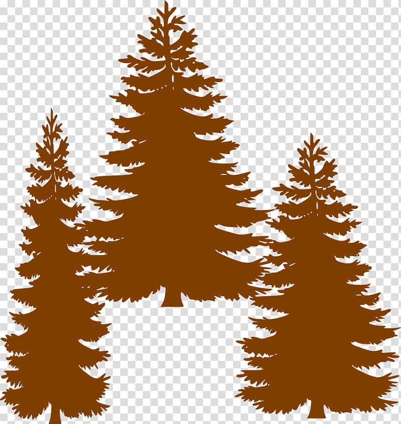 Christmas Black And White, Pine, Fir, Tree, Eastern White Pine, Evergreen, Silhouette, Douglas Fir transparent background PNG clipart