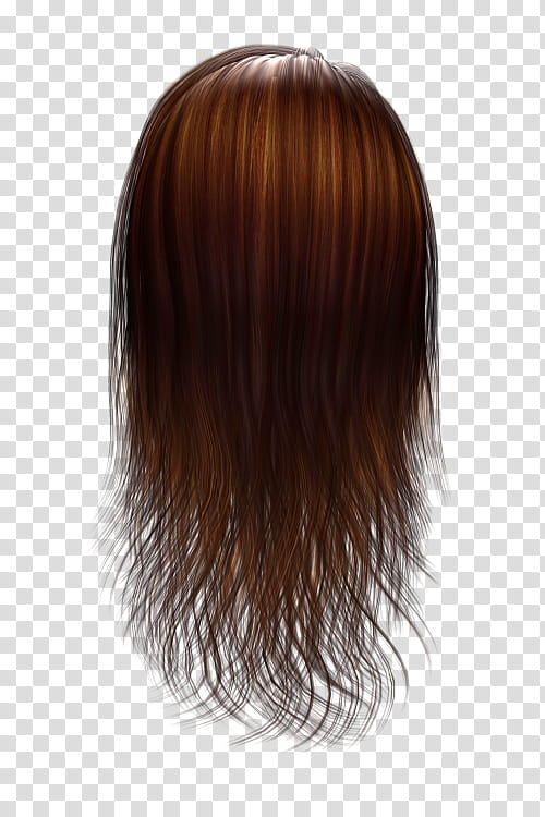 Hair Texture Renders , long brunette hair illustration transparent background PNG clipart