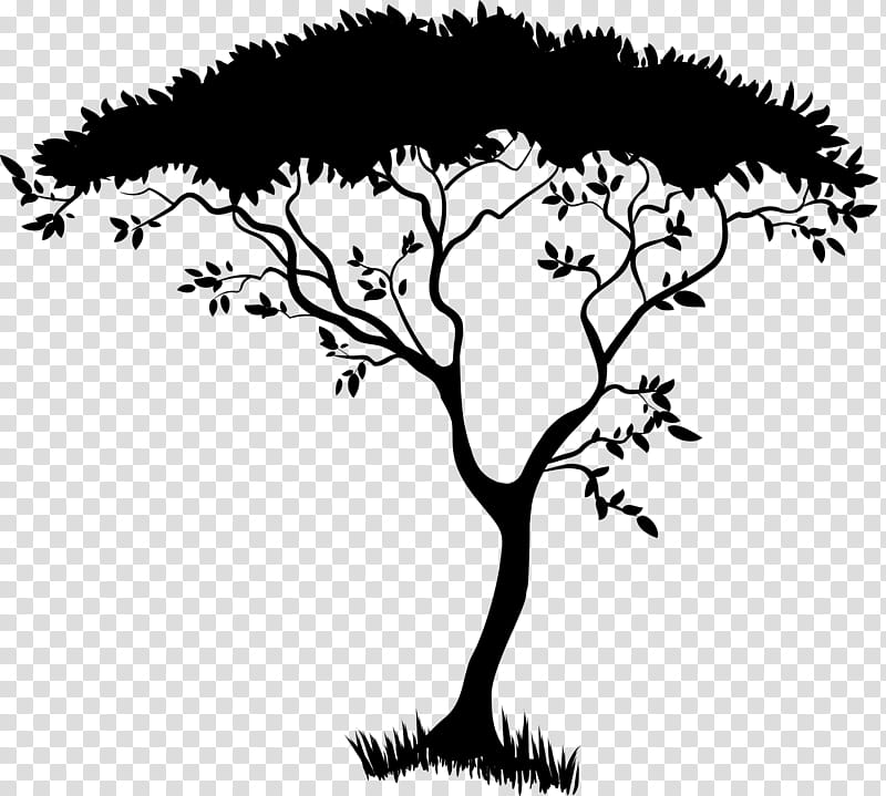 Tree Trunk Drawing, Africa, Safari, Branch, Head, Woody Plant, Leaf, Blackandwhite transparent background PNG clipart