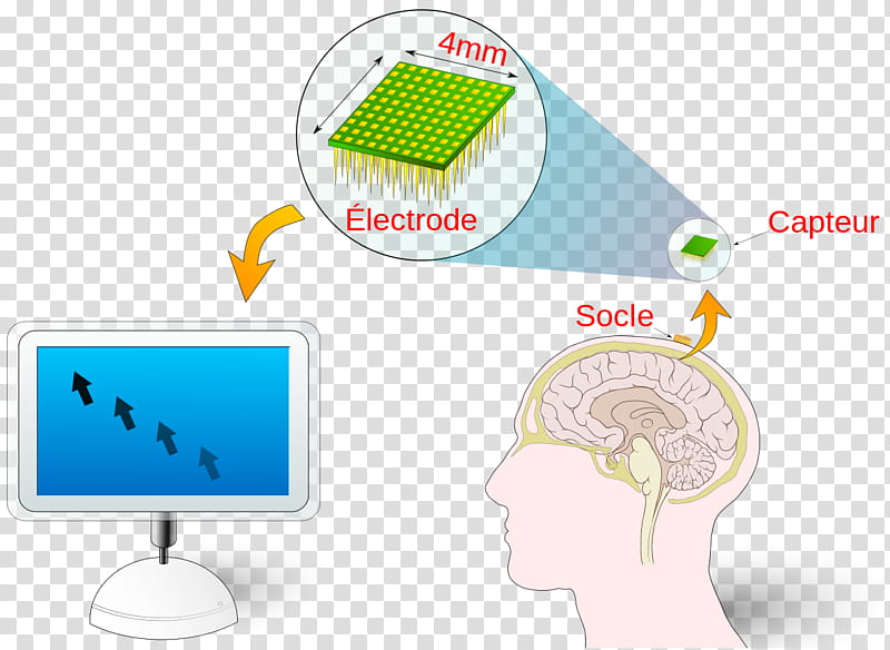 Cartoon Brain, Interface, Computer, Computer Software, Data, Cognitive Computer, Host, Digital Electronic Computer transparent background PNG clipart
