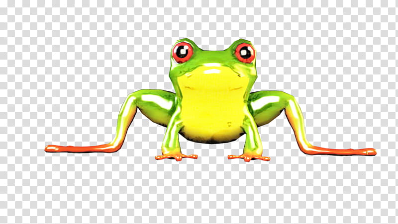 Frog, True Frog, Tree Frog, Toad, Agalychnis, Green, Shrub Frog, Hyla transparent background PNG clipart