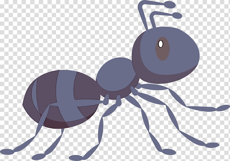 ant insect cartoon pest membrane-winged insect, Membranewinged Insect, Termite, Animation, Parasite transparent background PNG clipart