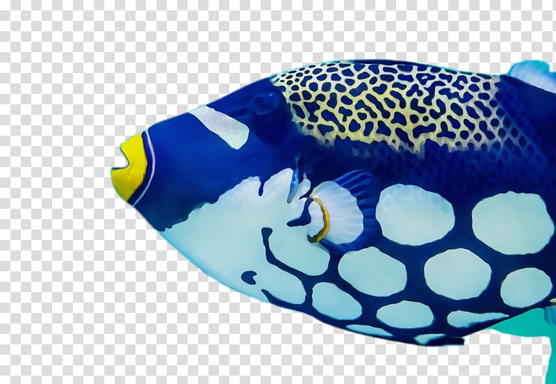 blue turquoise cobalt blue fish aqua, Watercolor, Paint, Wet Ink, Electric Blue, Mask, Headgear, Triggerfish transparent background PNG clipart