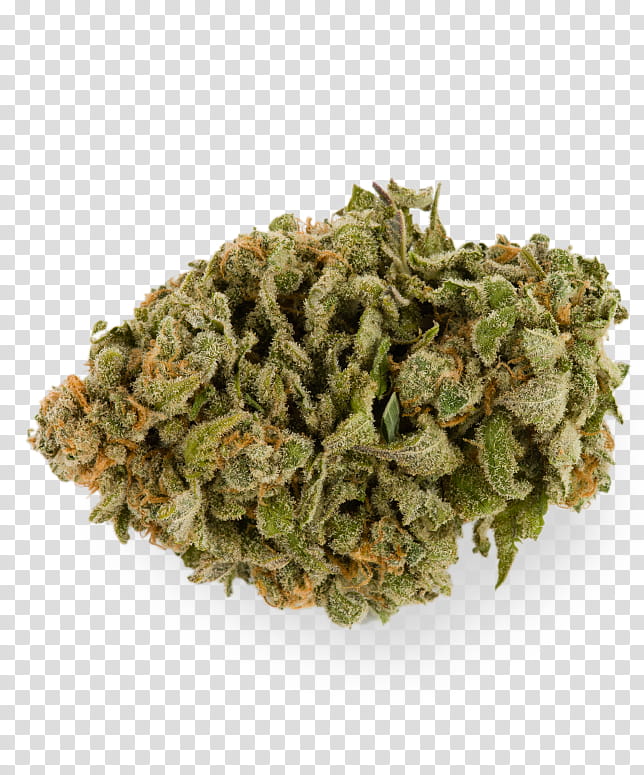 Flower Rose, Cannabis, Hemp, Sour Diesel, Cannabis Cultivation, Psychoactive Drug, Hashish, Medical Cannabis transparent background PNG clipart