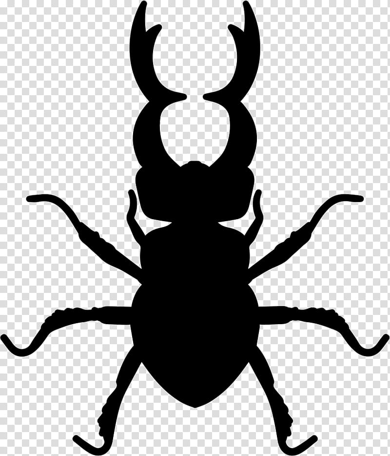 Beetle Insect, Stag Beetle, Hercules Beetle, Goliathus, Lucanus Ibericus, Eastern Hercules Beetle, Japanese Rhinoceros Beetle, Rhinoceros Beetles transparent background PNG clipart