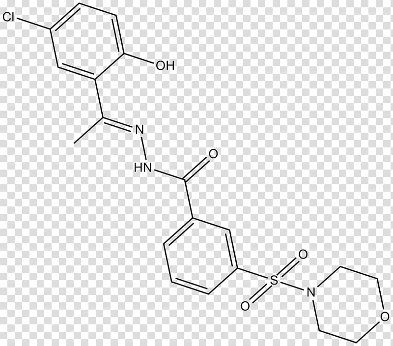 Black Triangle, Demethylase, Kdm1a, Histone, Kdm6b, Methyl Group, Epigenetics, Enzyme Inhibitor transparent background PNG clipart