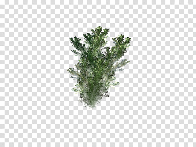 Aquatic Plants in, green leafed plant transparent background PNG clipart